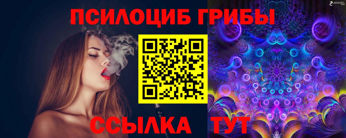 Галлюциногенные грибы Psilocybine cubensis Вязники