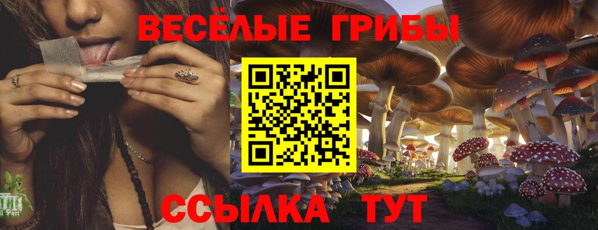 Галлюциногенные грибы прущие грибы  Вход с VPN  дарнет шоп  Вязники 